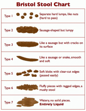 The infamous Bristol Stool Chart